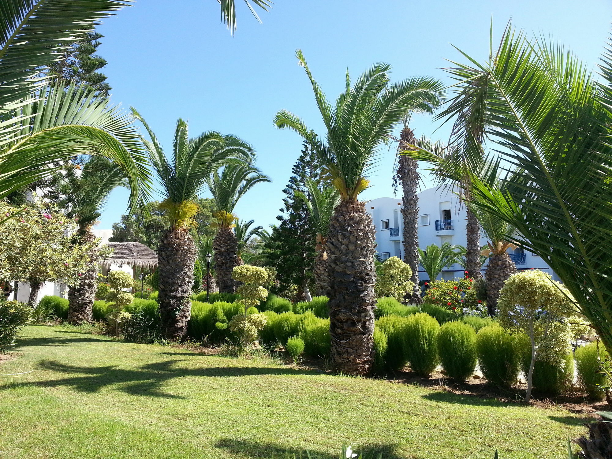 Eden Club Hotel Monastir Exterior photo